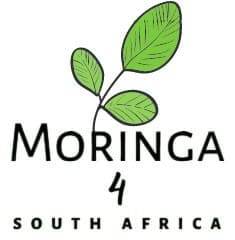 Moringa 4 South Africa