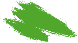 Benefits of Moringa Leaf Capsules