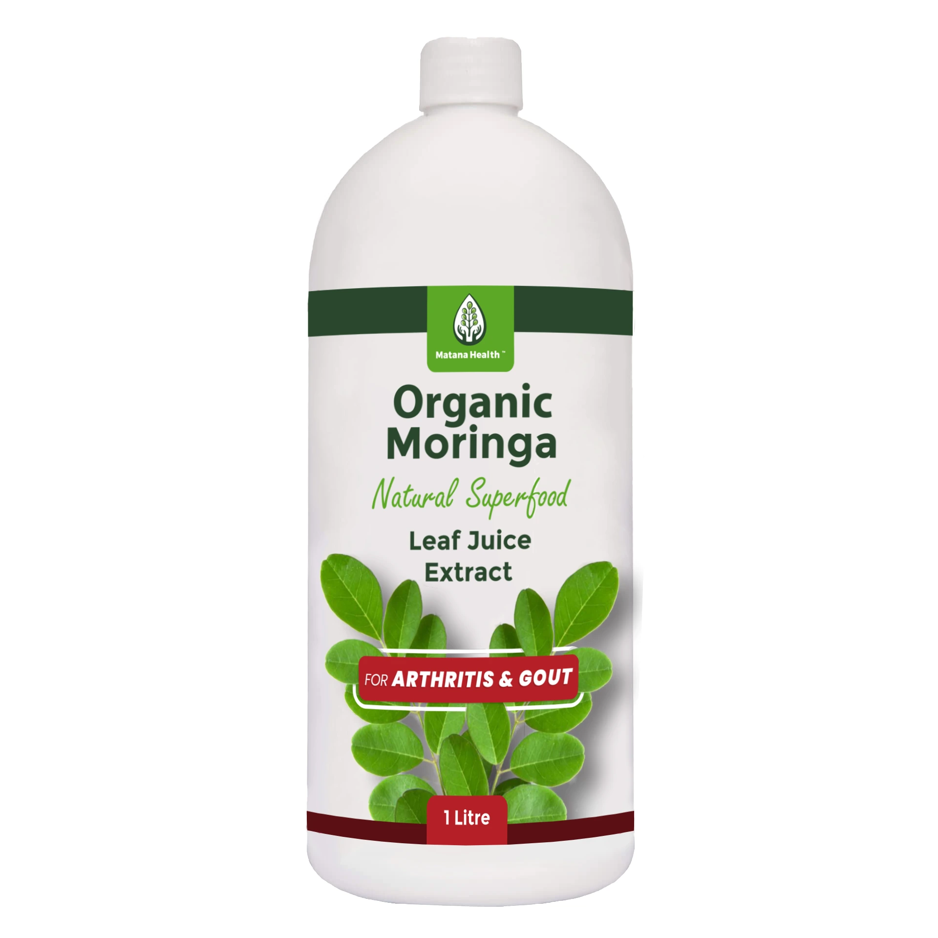 Moringa 4 South Africa