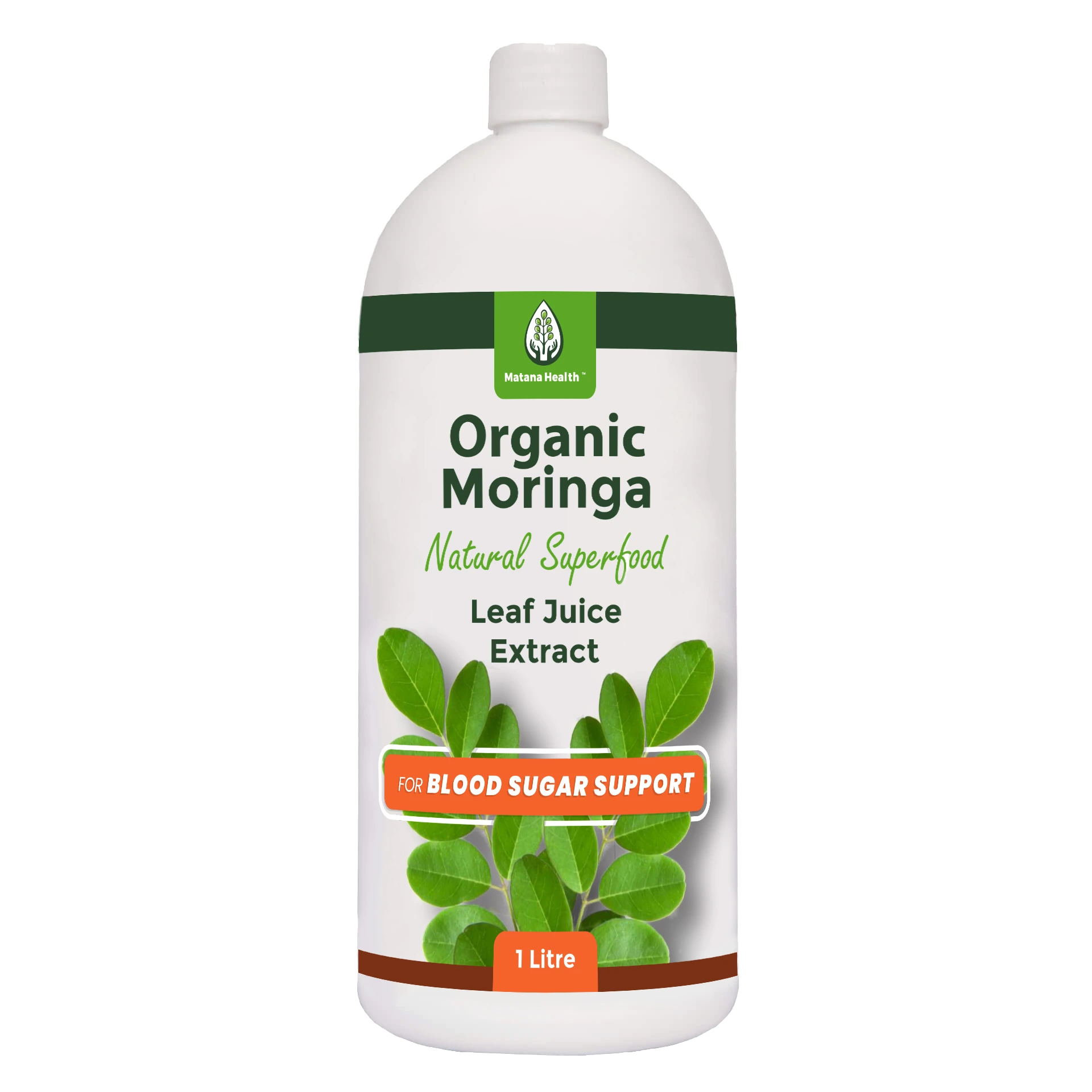 Moringa 4 South Africa