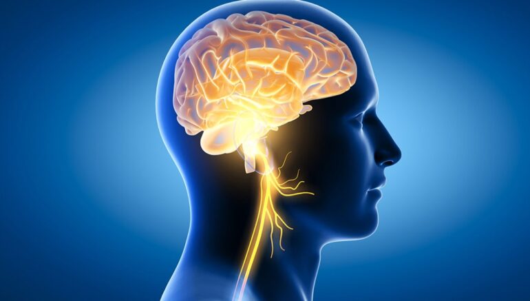 moringa for brain health