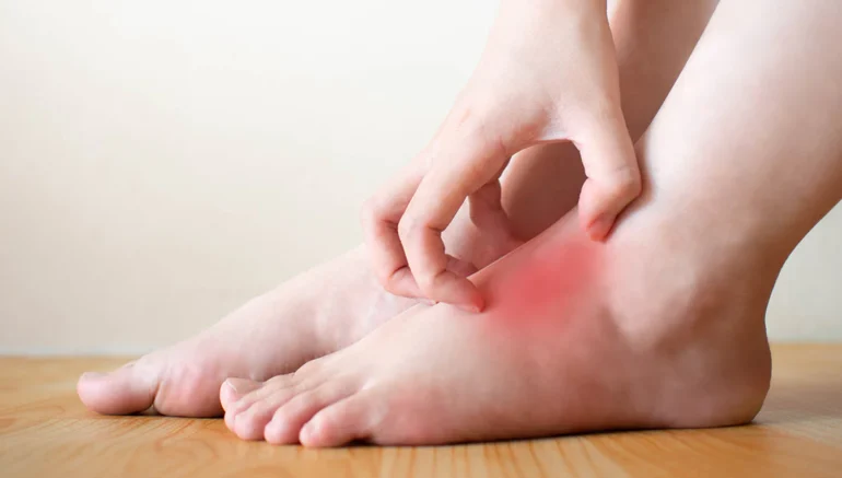 moringa for inflammation